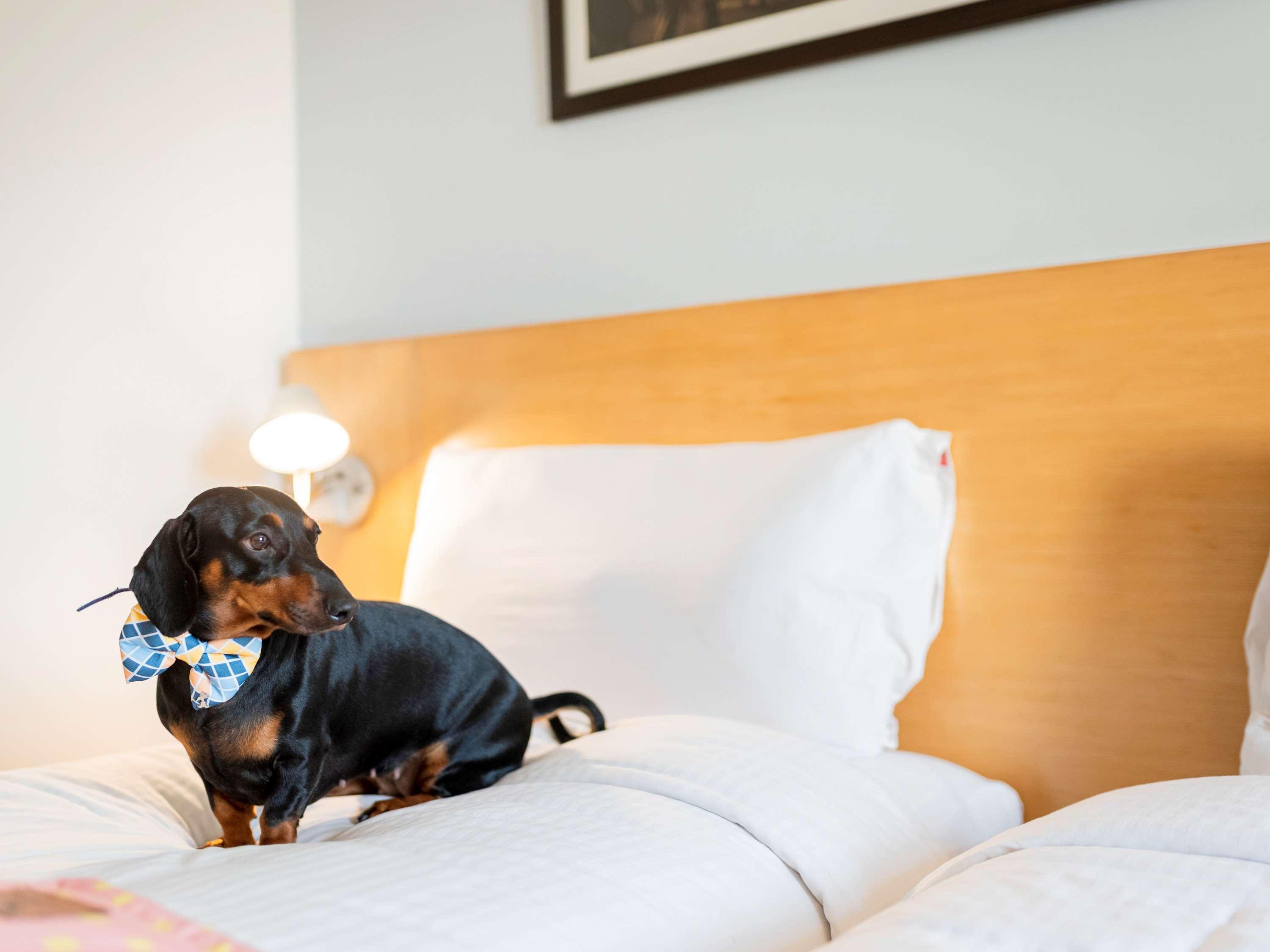 Hotel Ibis Gurgaon Golf Course Road - An Accor Brand Extérieur photo